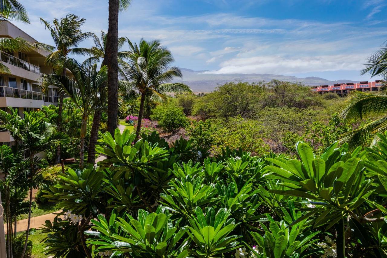 Maui Banyan H311 1Bd 2Ba 3 Min Walk To The Beach In The Heart Of South Kihei! Wailea  Bagian luar foto