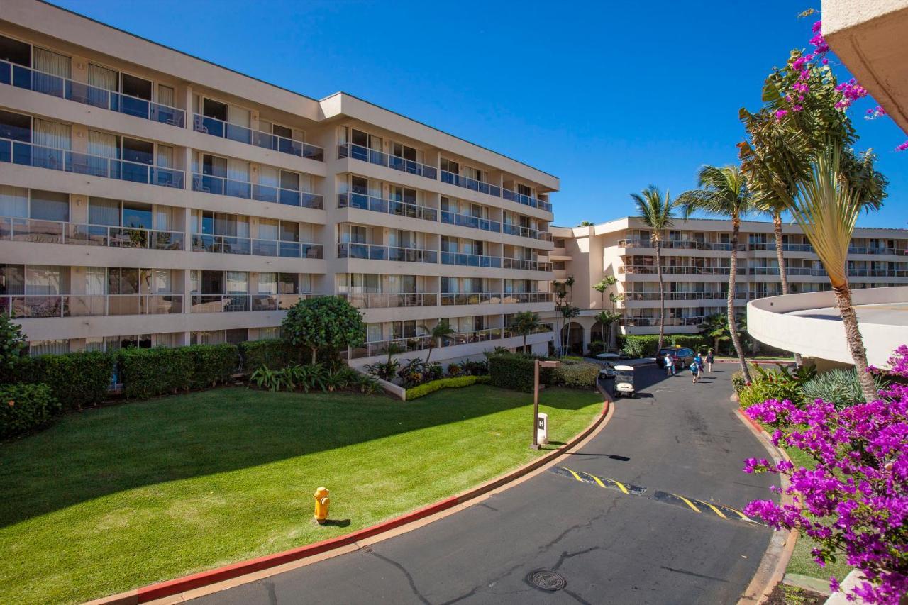 Maui Banyan H311 1Bd 2Ba 3 Min Walk To The Beach In The Heart Of South Kihei! Wailea  Bagian luar foto