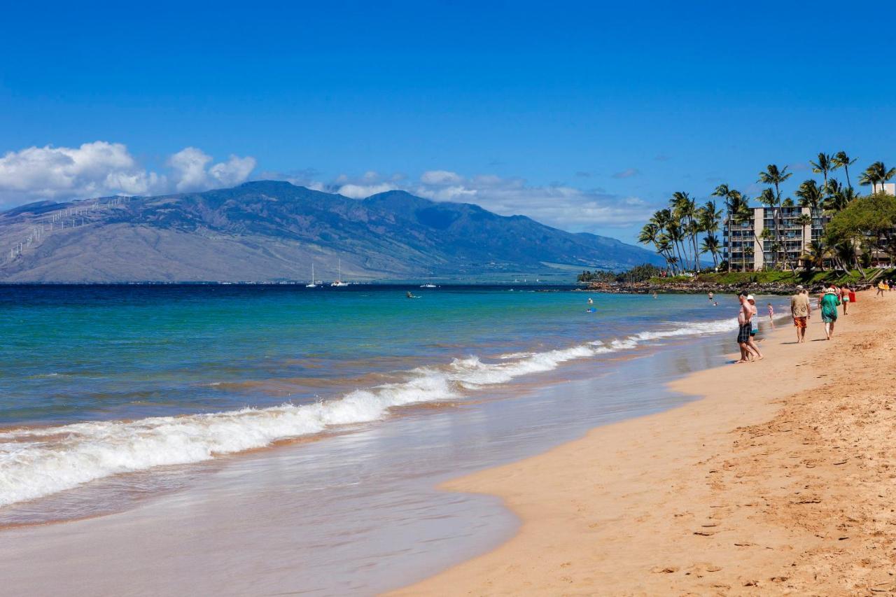 Maui Banyan H311 1Bd 2Ba 3 Min Walk To The Beach In The Heart Of South Kihei! Wailea  Bagian luar foto