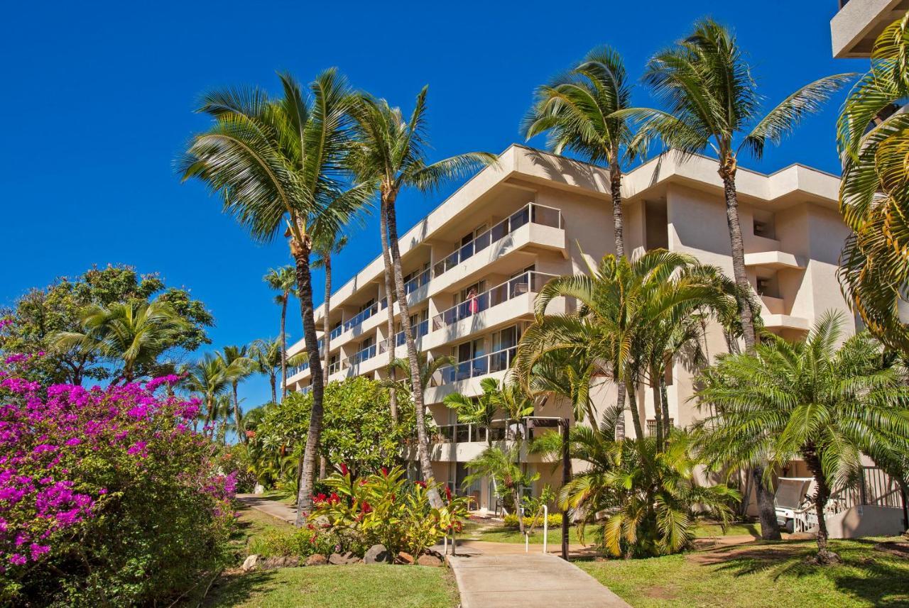Maui Banyan H311 1Bd 2Ba 3 Min Walk To The Beach In The Heart Of South Kihei! Wailea  Bagian luar foto
